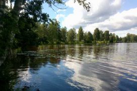 Virtasalmen rantamaisema